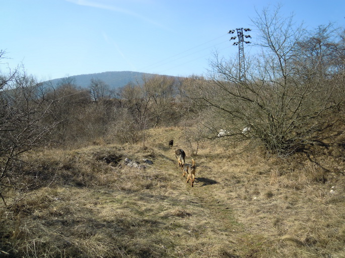 DSCN2003.JPG
