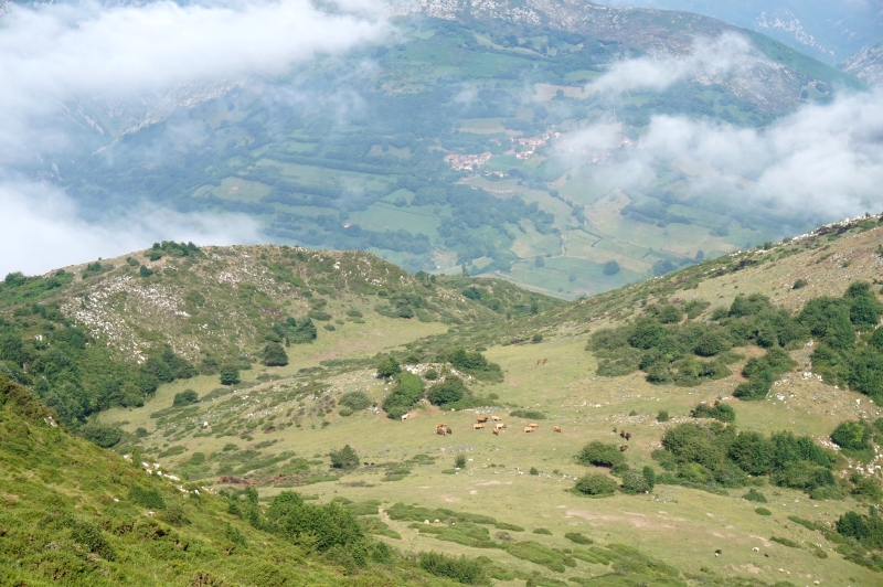 La Mostayal (Sª del Aramo) - Descubriendo Asturias (14)