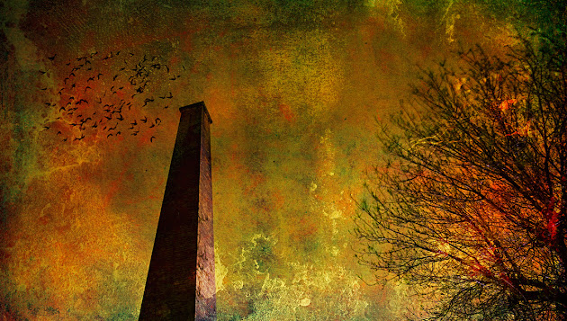 Cover photo