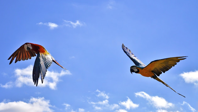 Cover photo