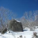 Granite Tor in the snow (300940)