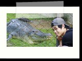 biggest crocodile