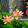 simmi dhurve simmi dhurve's profile photo