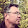 Jim Babbage Jim Babbage's profile photo