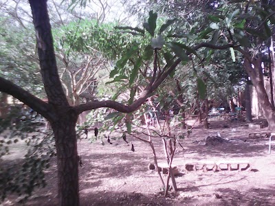 Photos of Notre Dame du Sahel