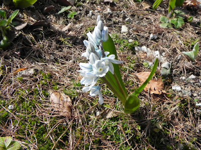 DSCN9193.JPG