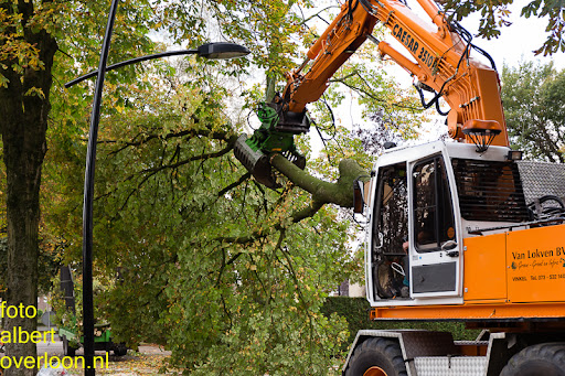 Bomen gekapt Museumlaan in overloon 20-10-2014 (20).jpg