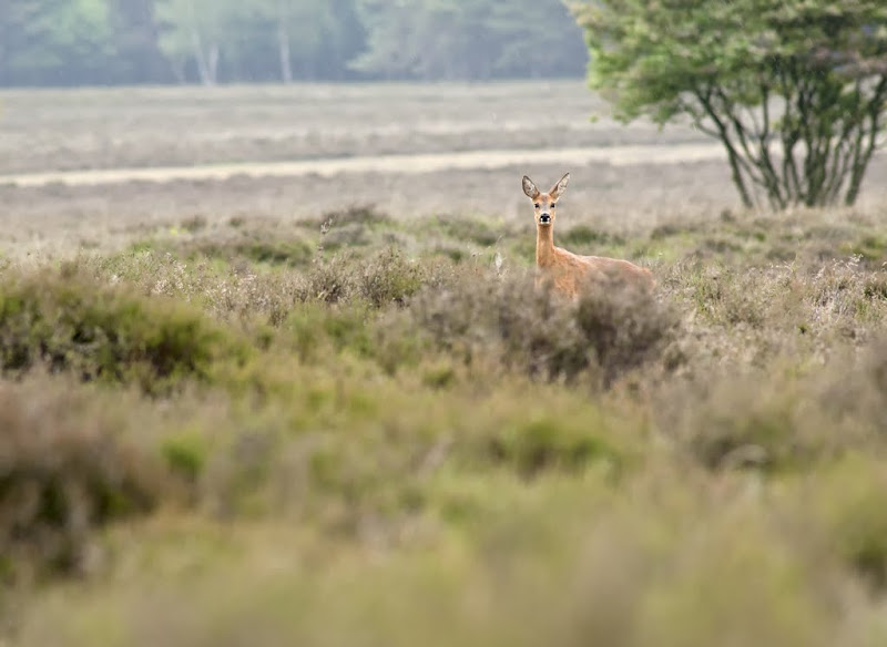 Fotografie
