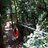 Ziplining in the Jungle - Roatan, Honduras