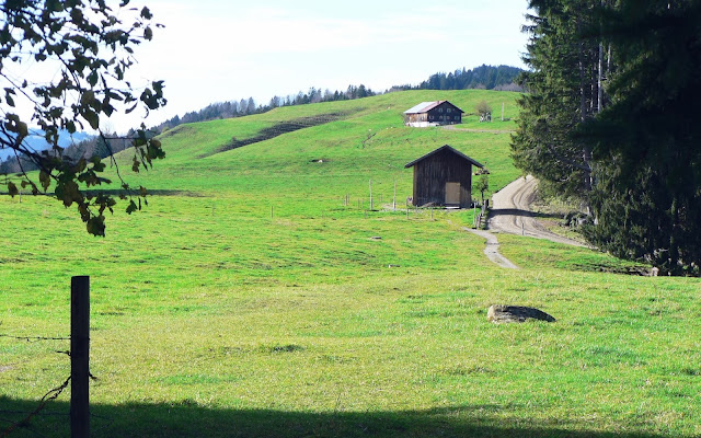 Immenstadt Alpsee Siedelalpe allgäu primapage