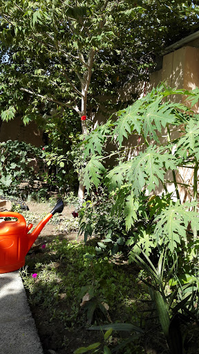 مركز ليان للتسوق