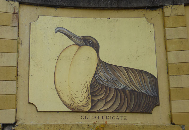 Pittsburgh Murals and Public Art: North Braddock Aviary mural by Polina ...