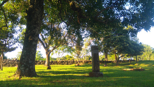 photo of Municipality of Vicente López