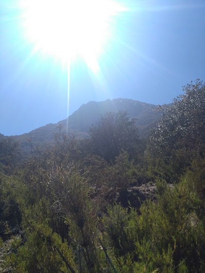 Photos of Cerro La Campana