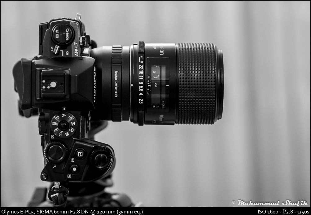 Better Family Photos: Review Part 1: Tamron SP 90mm f/2.5 Macro (on MFT)