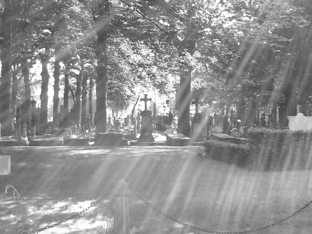 Cover photo