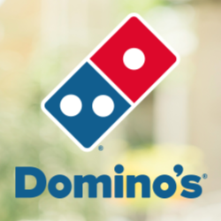 Domino's Pizza Bodegraven logo