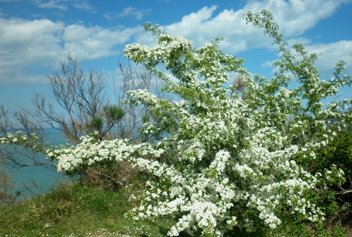 P1000048.JPG