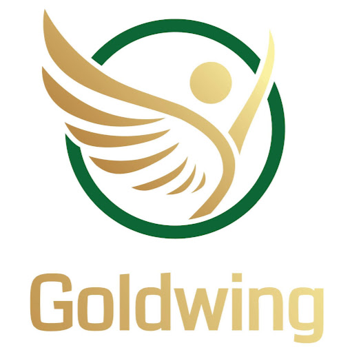 Goldwing Recovery