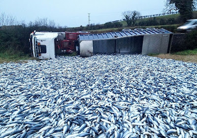 Image result for image of fishfarm