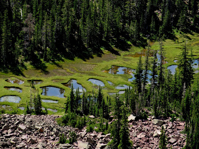 Marsh below the ridge