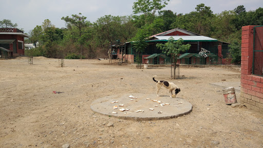 Raahat, Animal Shelter & Veterinary Hospital Near NCC Headquarter, Sahastradhara Road, Village Nanur Kheda, Dehradoon, Uttarakhand 248001, India, Orphanage, state UK