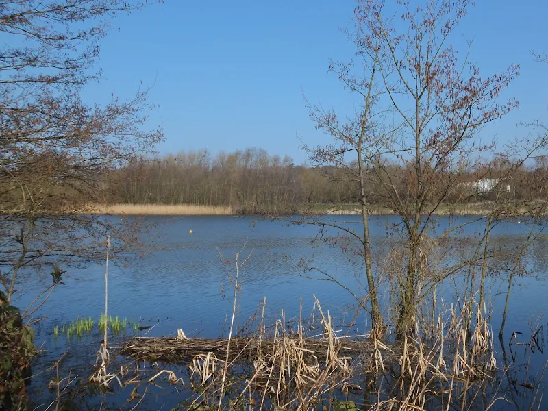 Whitlingham Little Broad
