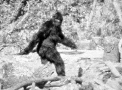 The Absurdities Of Cryptozoology