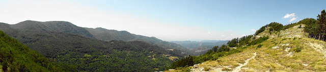 Laposa.JPG
