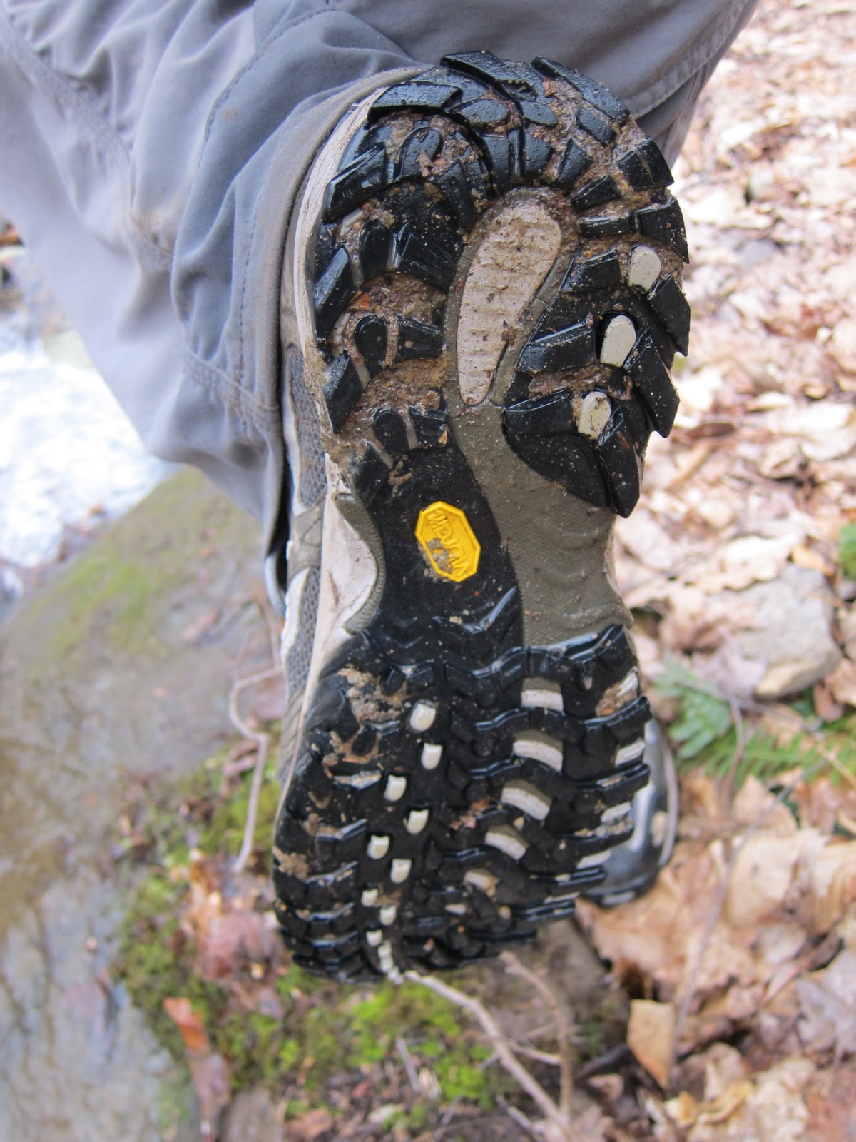 robonza: Review: North Face Hedgehog GTX XCR Trail Shoe