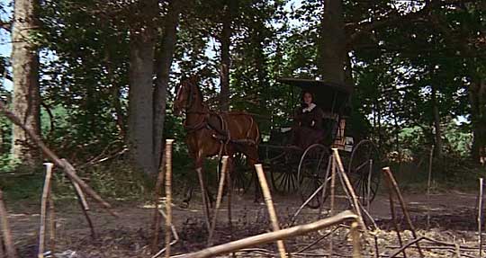 The Beguiled Hosted by Picasa