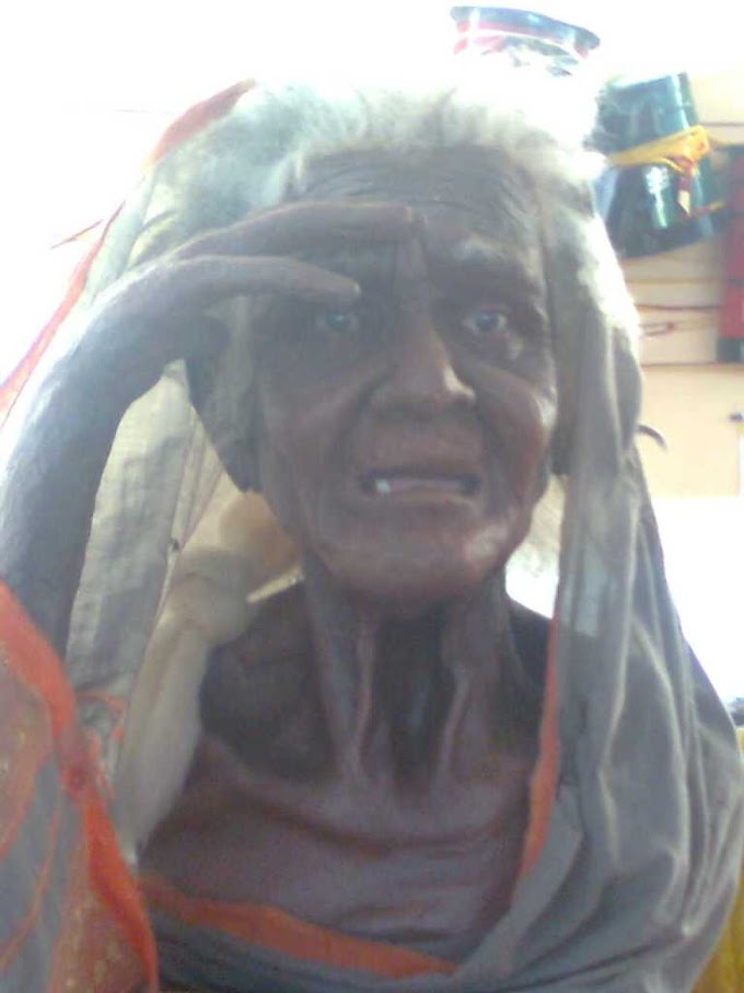 Sculpture made up of wood, captured in gyanganga festival nasik