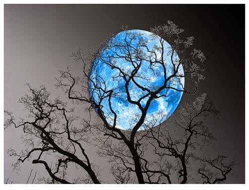 Blue Moon Wish Spell