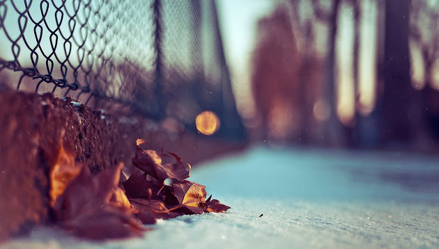 Cover photo