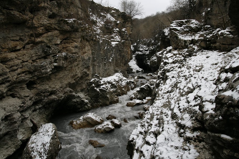 _MG_0889.JPG