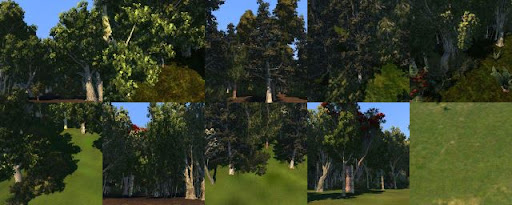 Forêts [Mod CXL 2011-CXL 2012] Forets