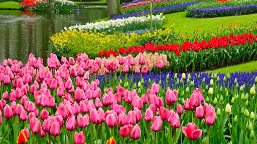 Spring Garden, Keukenhof Gardens, The Netherlands.jpg