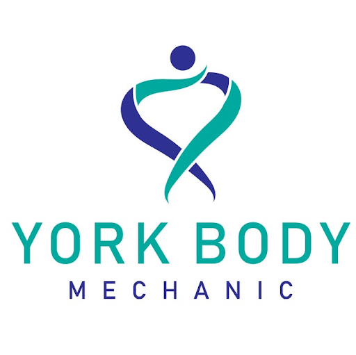 Sports Therapy York logo
