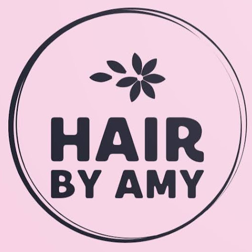 Hair By Amy logo