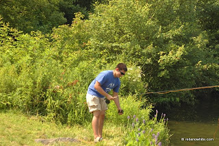 shore fish
