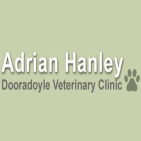 Dooradoyle-Raheen Pet Clinic logo