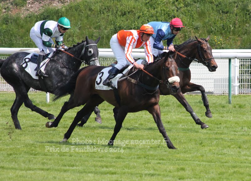 Photos Auteuil le 04-05-2014 IMG_0710