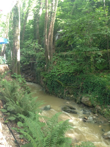 Kaya Et Balık Restoran