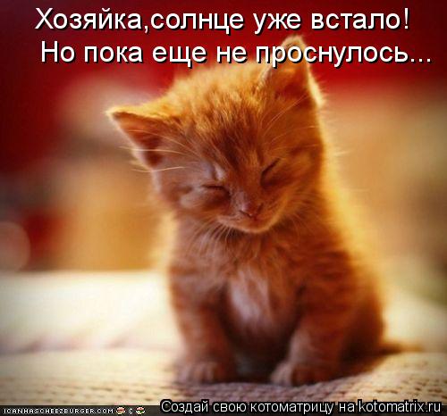 Ни дня без улыбки: последняя в июне... Ни дня без улыбки: последняя в июне...