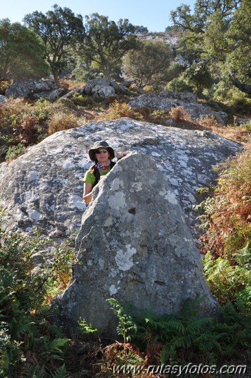 Dolmenes y menhir de Facinas