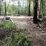 Looking towards the road from Machins Crater track (150534)