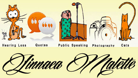 Cover photo