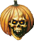 image%252520%25252887%252529.gif