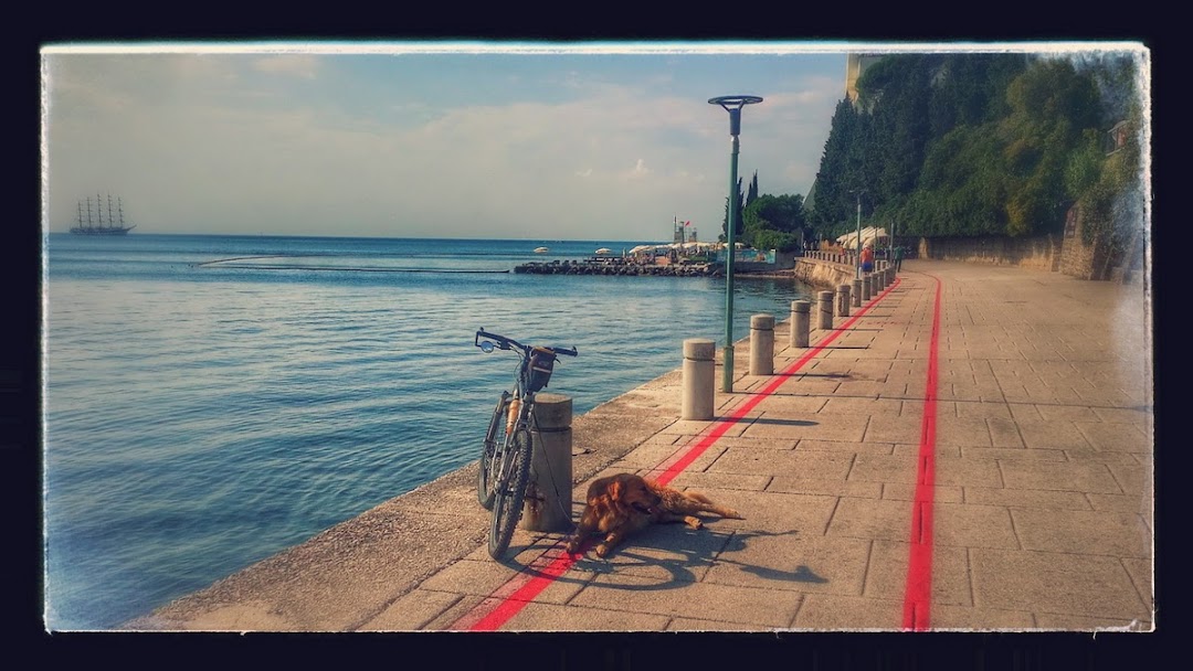 Slika
