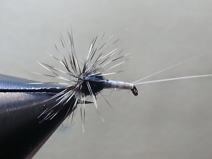 20140719_201701.jpg